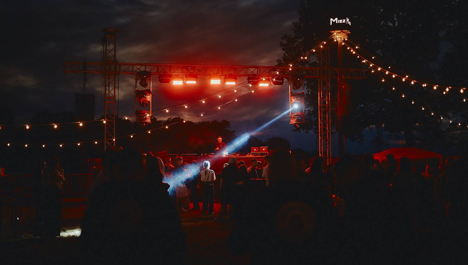 Party la padure | MIEZ